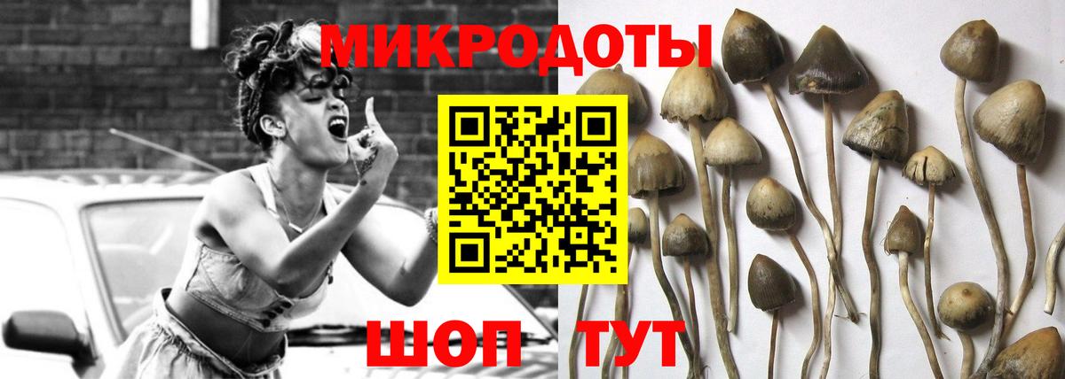 Амурск  Галлюциногенные грибы GOLDEN TEACHER  Вход с VPN  Галлюциногенные грибы мухоморы 